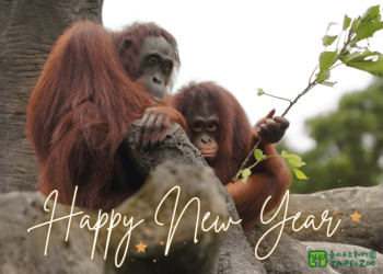 元旦尋找110「園蛋」　陪動物一起吃早餐