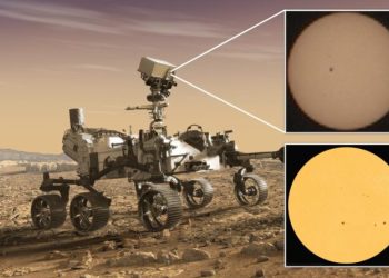 天文館滿滿「龍」風情，元旦假期邀您來看龍！